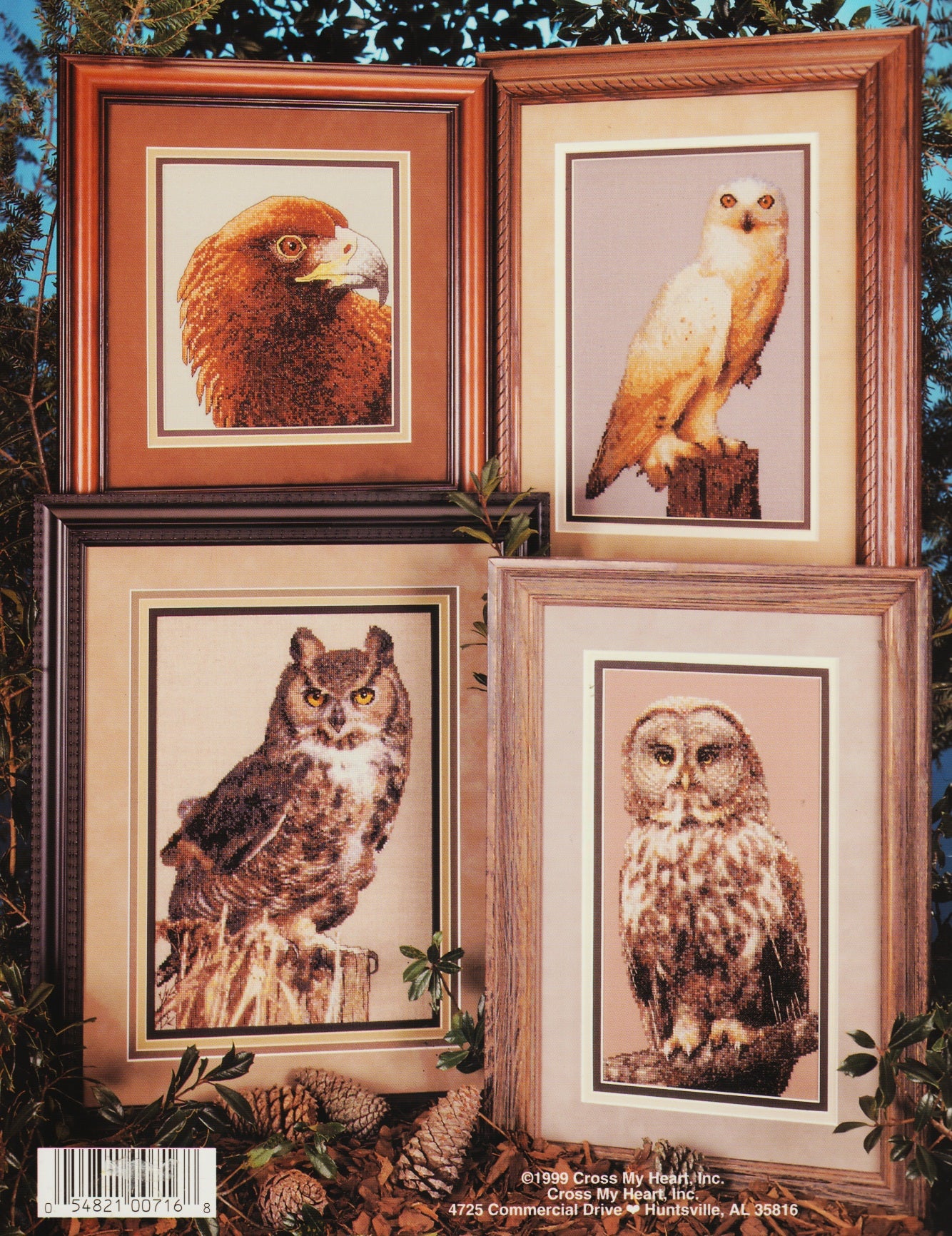 Eagles and Owls pattern