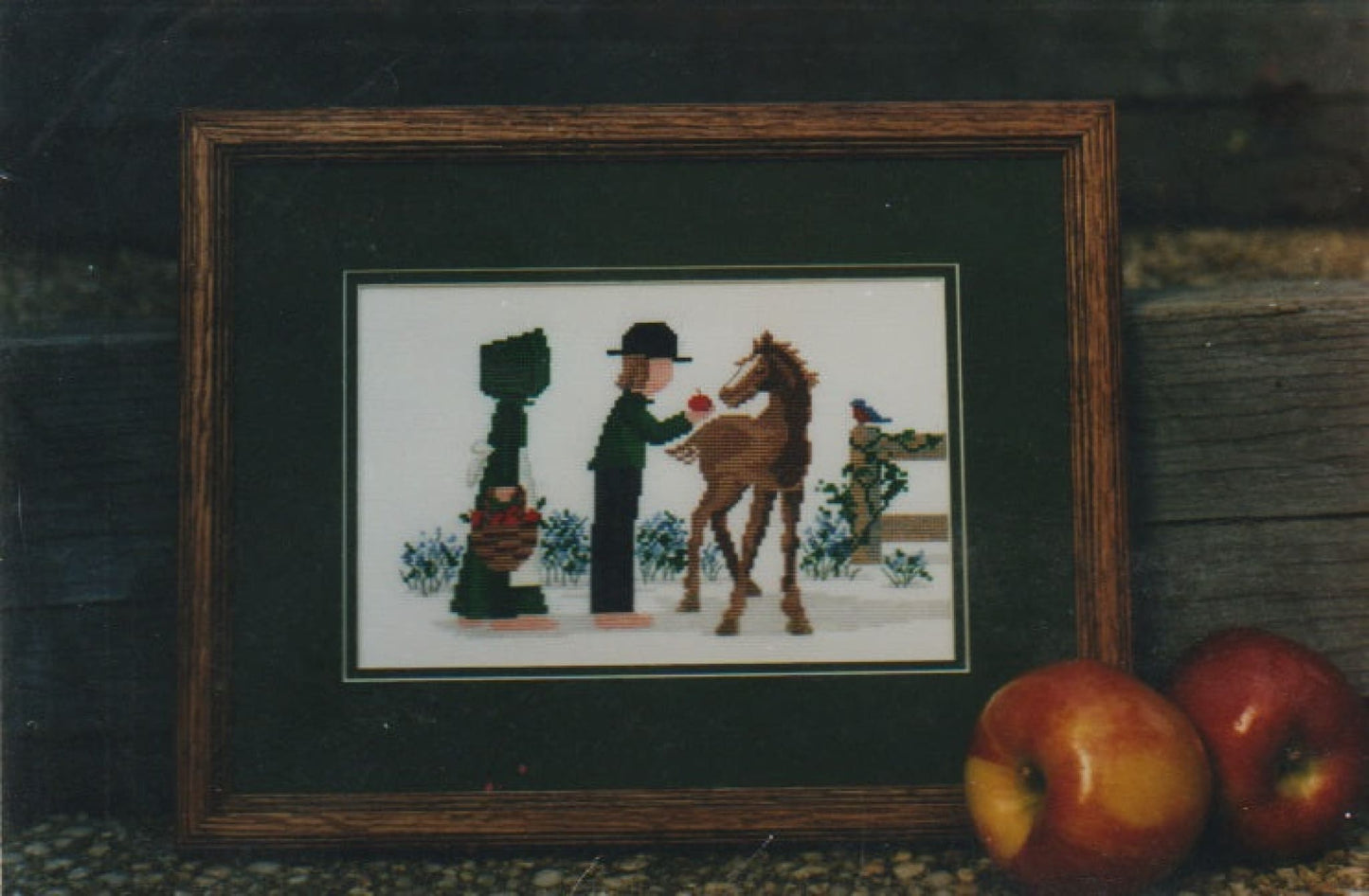 Diane Graebner An Apple A Day DGX-037 cross stitch pattern