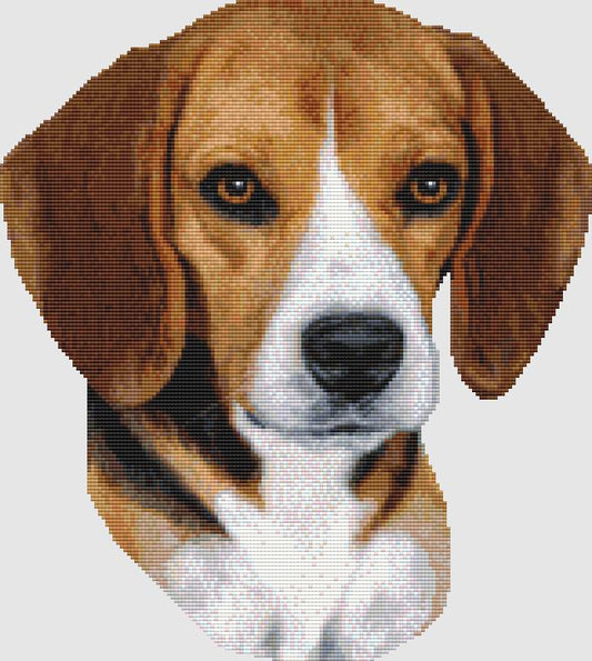 DogShoppe Designs Beagle Portrait Tri dog cross stitch patter