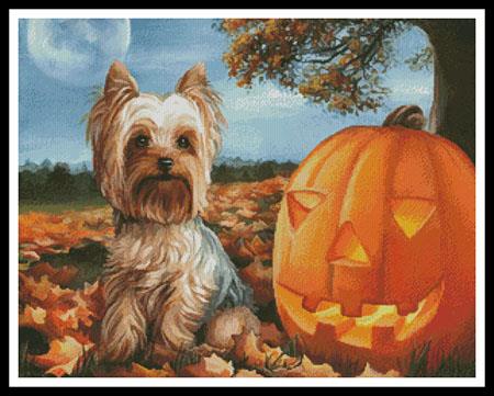 Before Twilight pattern