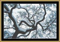 Forest Snow II pattern