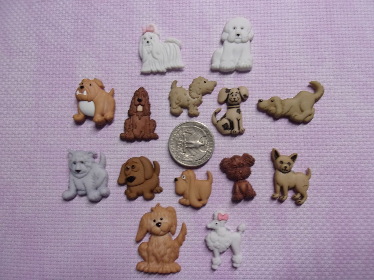 Dogs Needle Minders