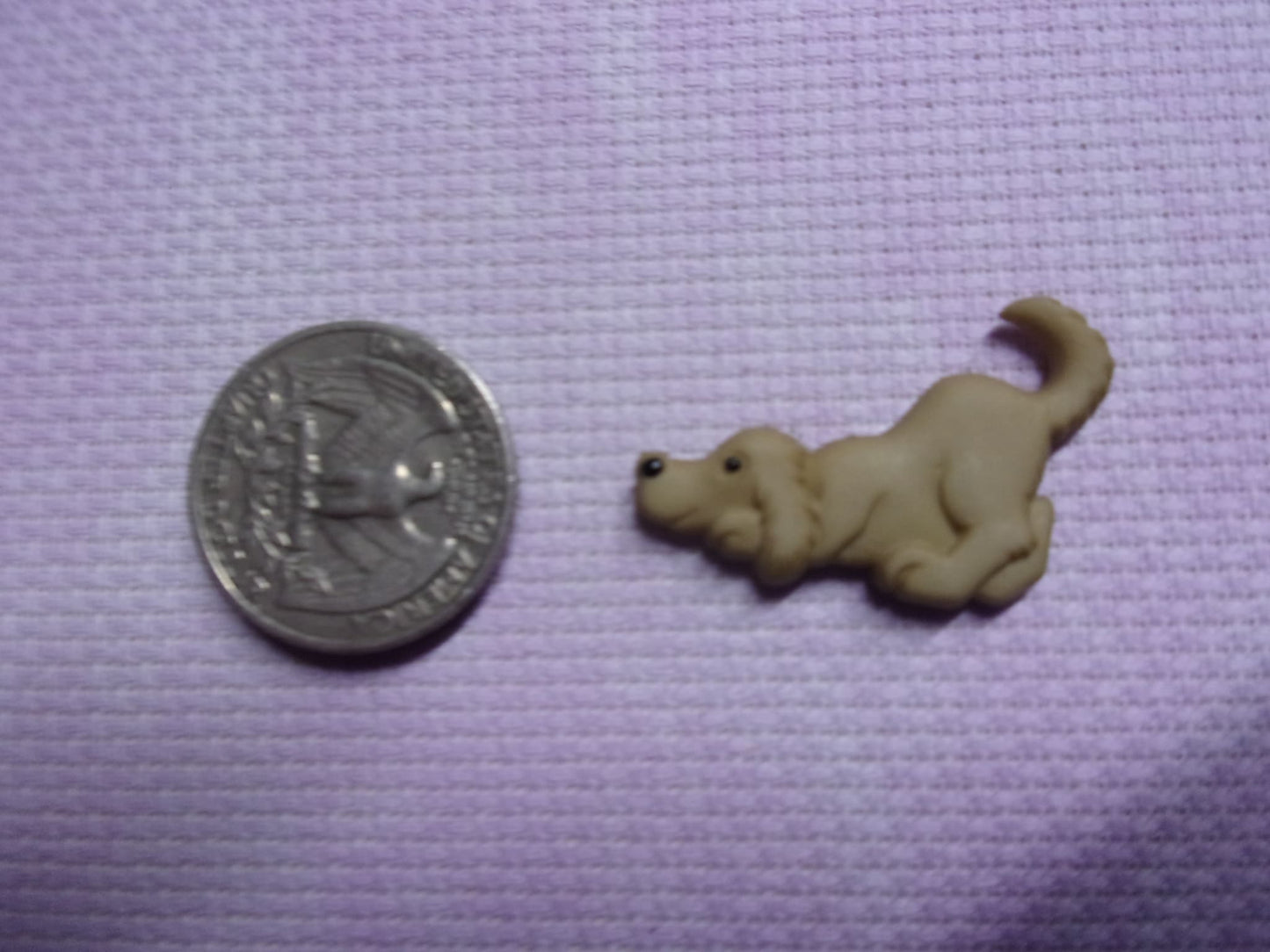 Dogs Needle Minders Dog 1