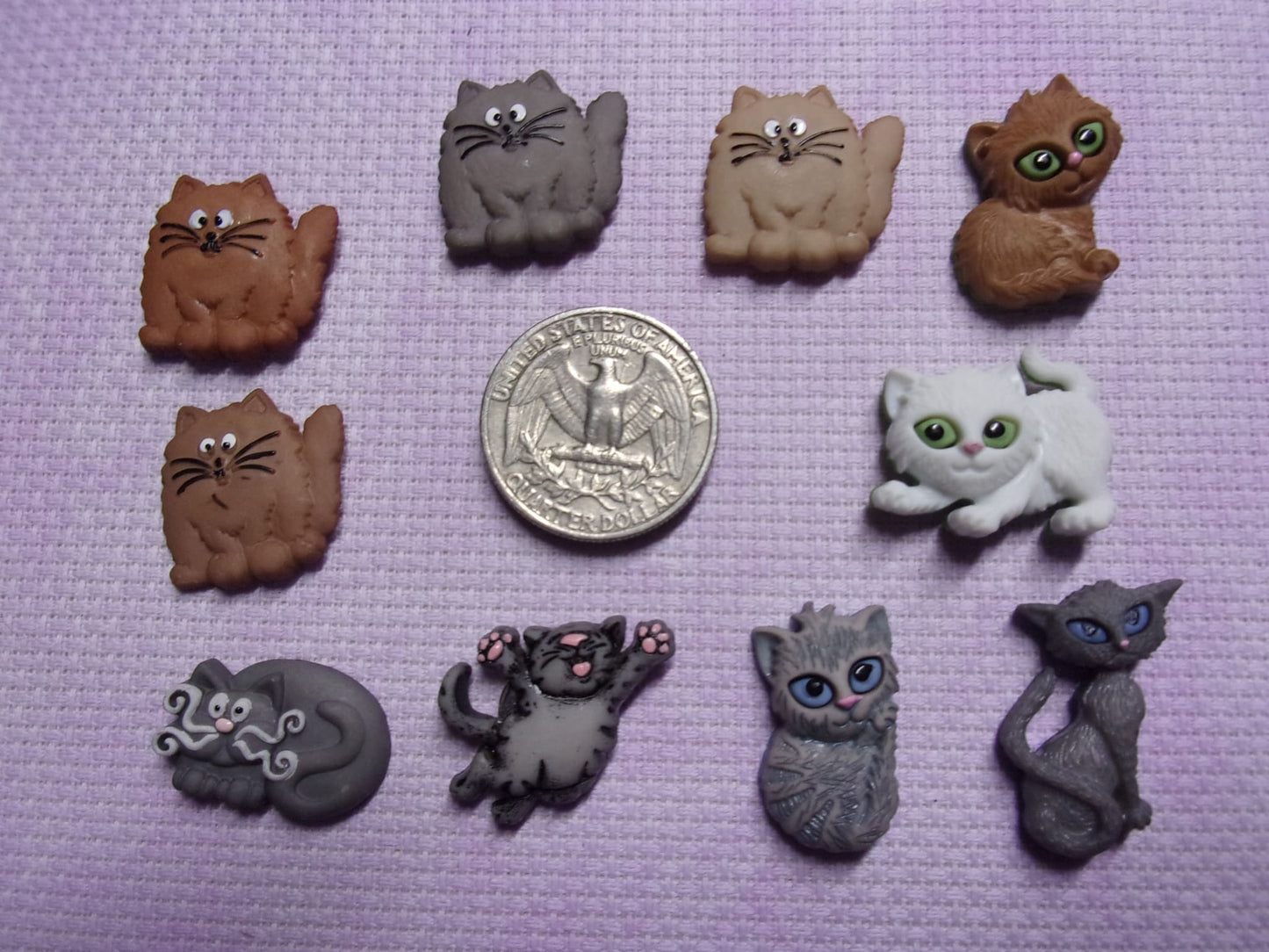 Cats Needle Minders