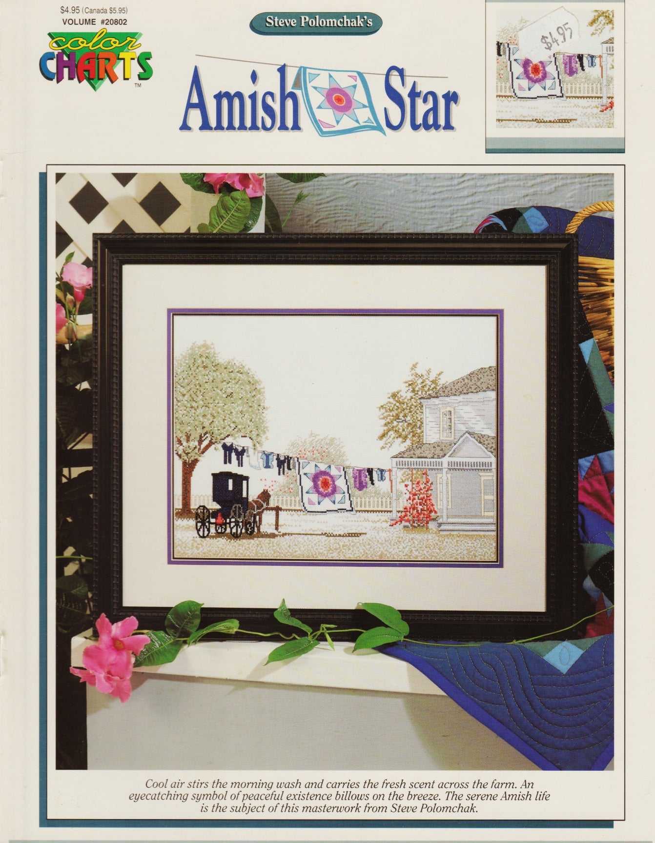 Color Charts Amish Star 20802 cross stitch pattern