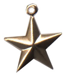 Stoney Creek Small Raised Brass Star Charm J13126-BR