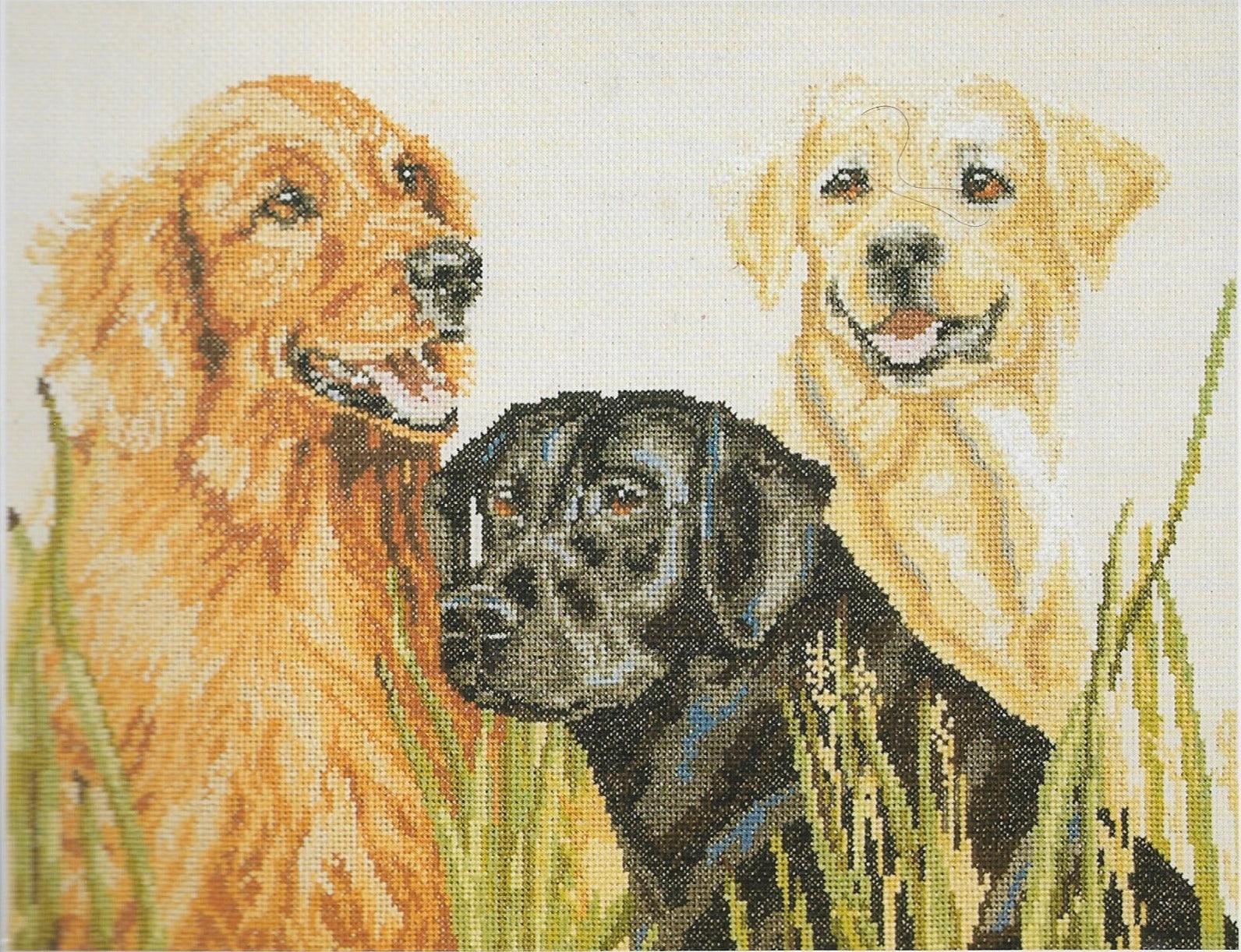 JanLynn Just-a-chart Retrievers 058-0005-W cross stitch pattern