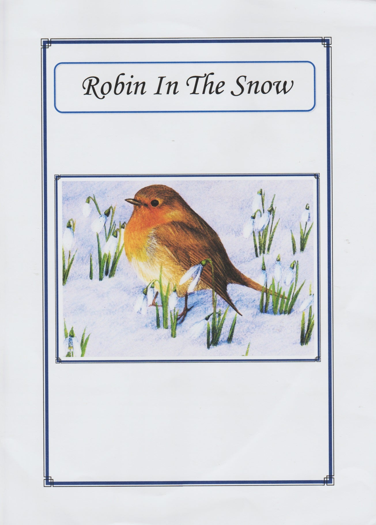 Hooley O'Flynn Robin in the Snow cross stitch pattern