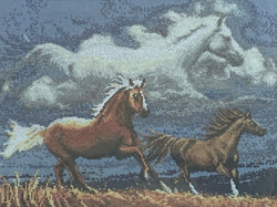 JanLynn Spirit of the Horse 013-0315-W cross stitch pattern