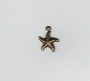 Star Fish charm