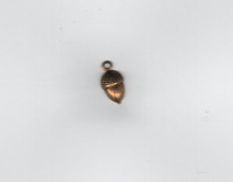 Acorn charm