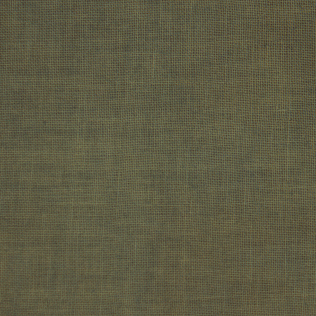 Weeks Dye Works Belfast 32ct 18x27 Kudzu Hand-Dyed cross stitch fabric