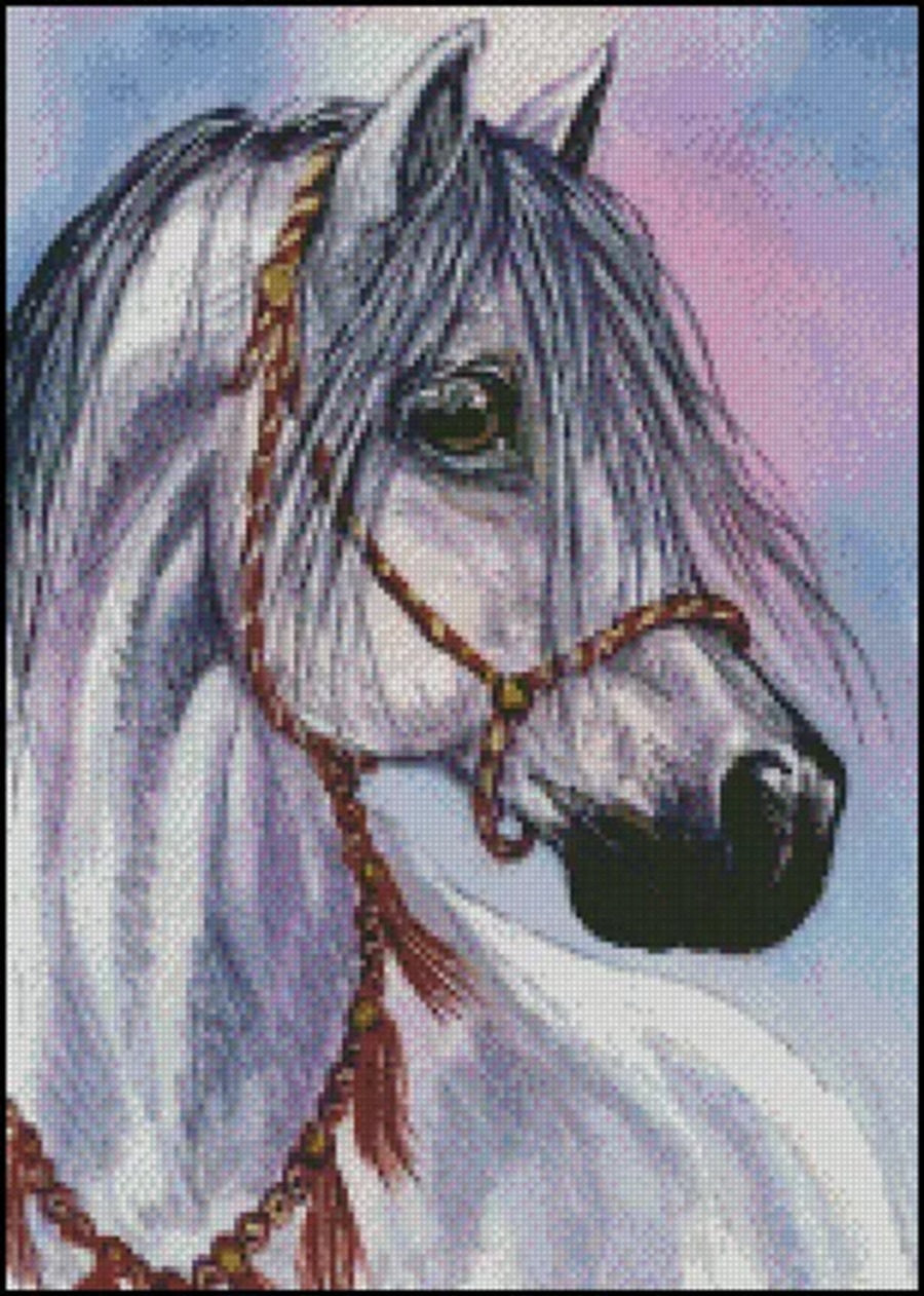 Sun Fancy Dress horse cross stitch pattern