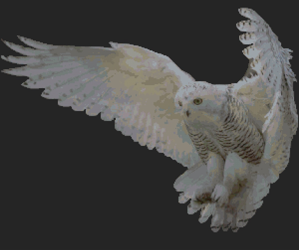 Winter Owl pattern