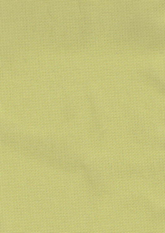 Aida 16ct 13x18.5 Tropical Green Fabric
