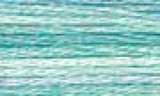 DMC Color variations Floss