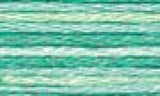 DMC Color variations Floss