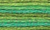 DMC Color variations Floss