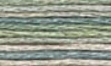 DMC Color variations Floss