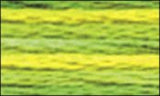 DMC Color variations Floss