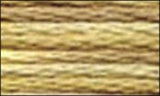 DMC Color variations Floss