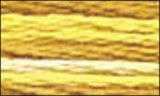 DMC Color variations Floss