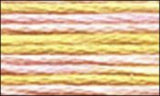 DMC Color variations Floss