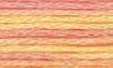DMC Color variations Floss