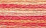 DMC Color variations Floss