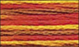 DMC Color variations Floss