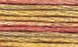 DMC Color variations Floss