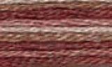 DMC Color variations Floss