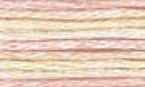 DMC Color variations Floss