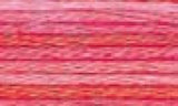 DMC Color variations Floss