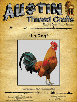 La Coq pattern