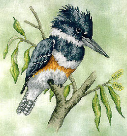 Crossed Wing Collection Belted Kingfisher 52 bird cross stitch pattern