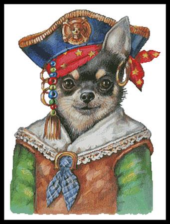Chihuahua Pirate pattern