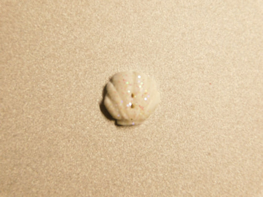 Stoney Creek Clam Shell SB070 button