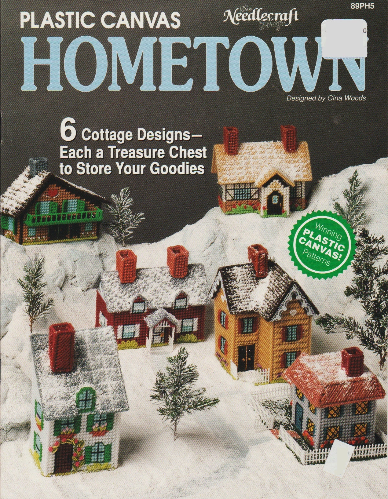 The Needlecraft Shop Hometown 89PH5 plastic canvas pattern