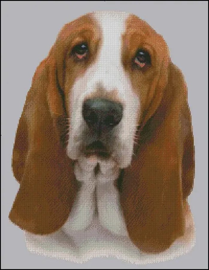 Shny Sun Basset Hound no background dog cross stitch pattern