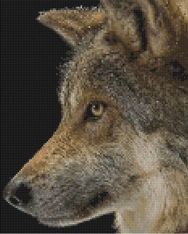 Wolf Wilderness Song Waste Canvas Cross Stitch Pattern CHART from a magazine