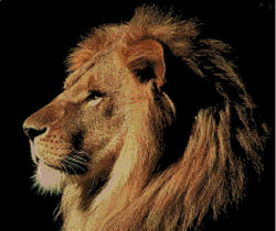 Lion PDF