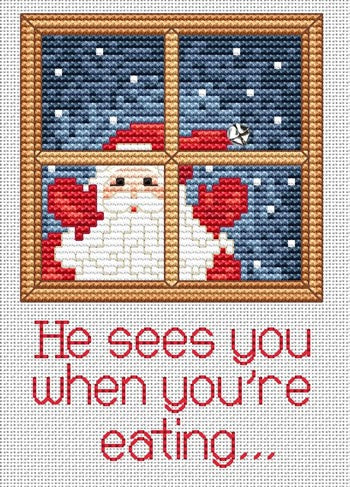 Sue Hillis He Sees You PS125 Christmas cross stitch pattern