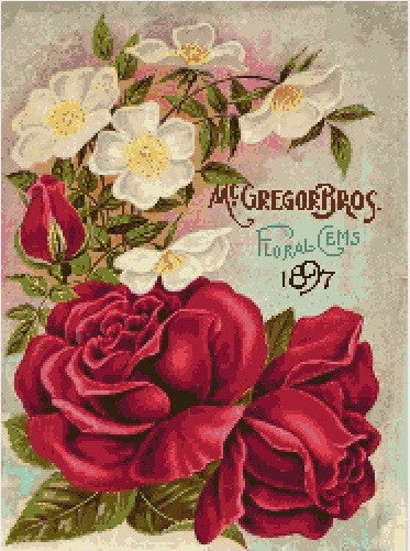 McGregor Roses 1897 Seeds PDF