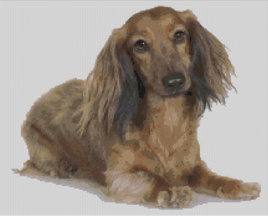 Austin Thread Crafts Doxi long-haired brown dachshund cross stitch pattern