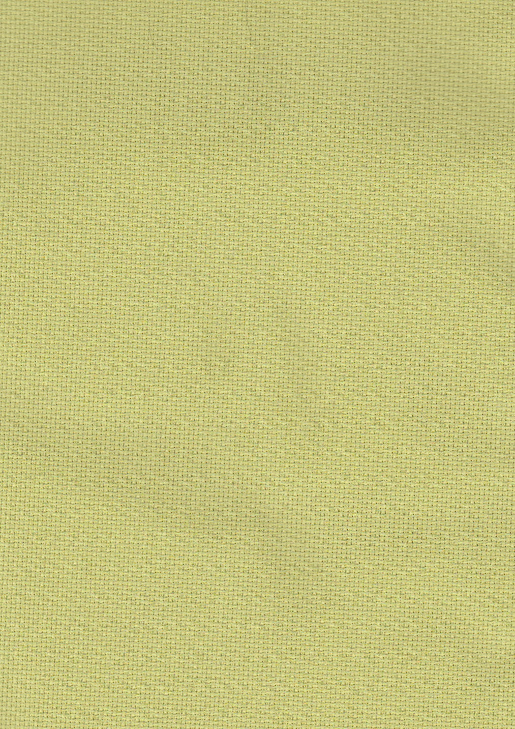 Aida 16ct 18x25 Tropical Green Fabric