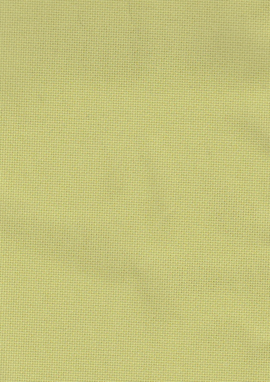 Aida 16ct 18x25 Tropical Green Fabric